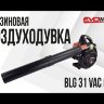Бензиновая воздуходувка EVOline BLG 31 VAC (4T)